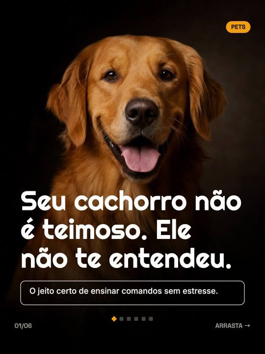 Template Pets da Carrosseia