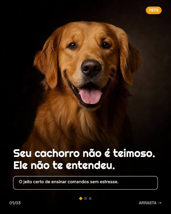 Capa do template Pets da CarrosseIA